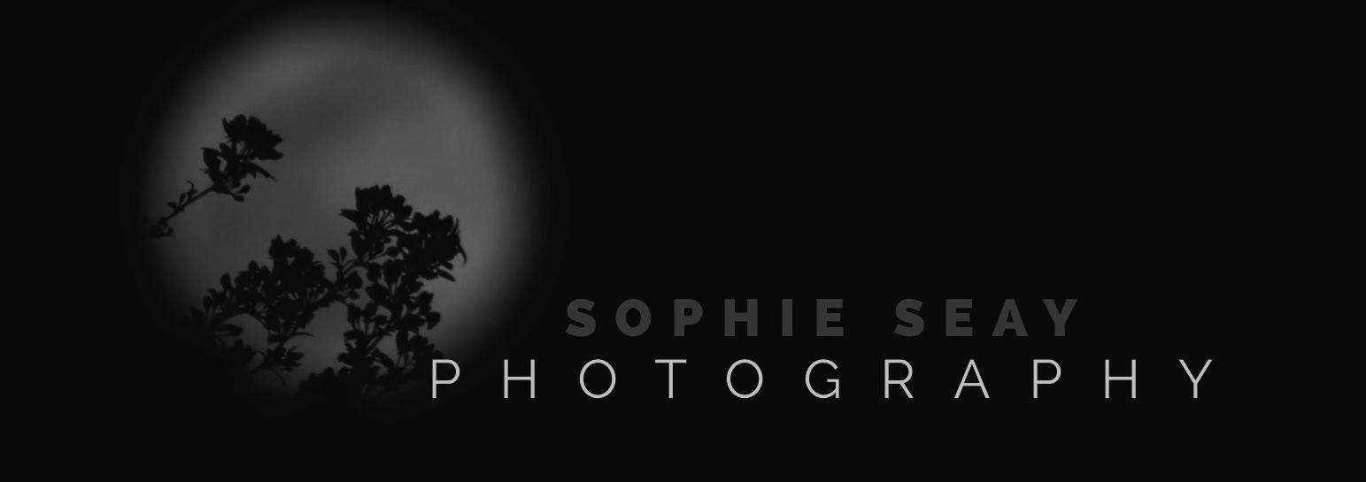 Sophie Seay Photography