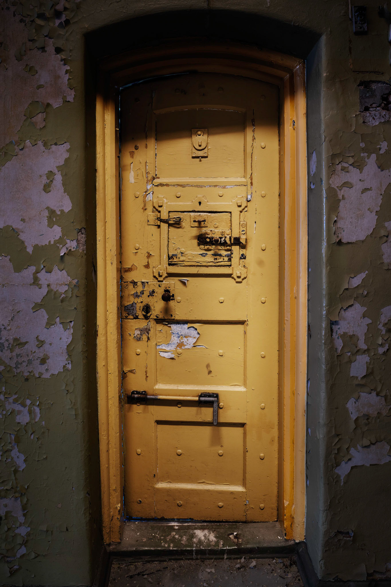 Cell Door 1