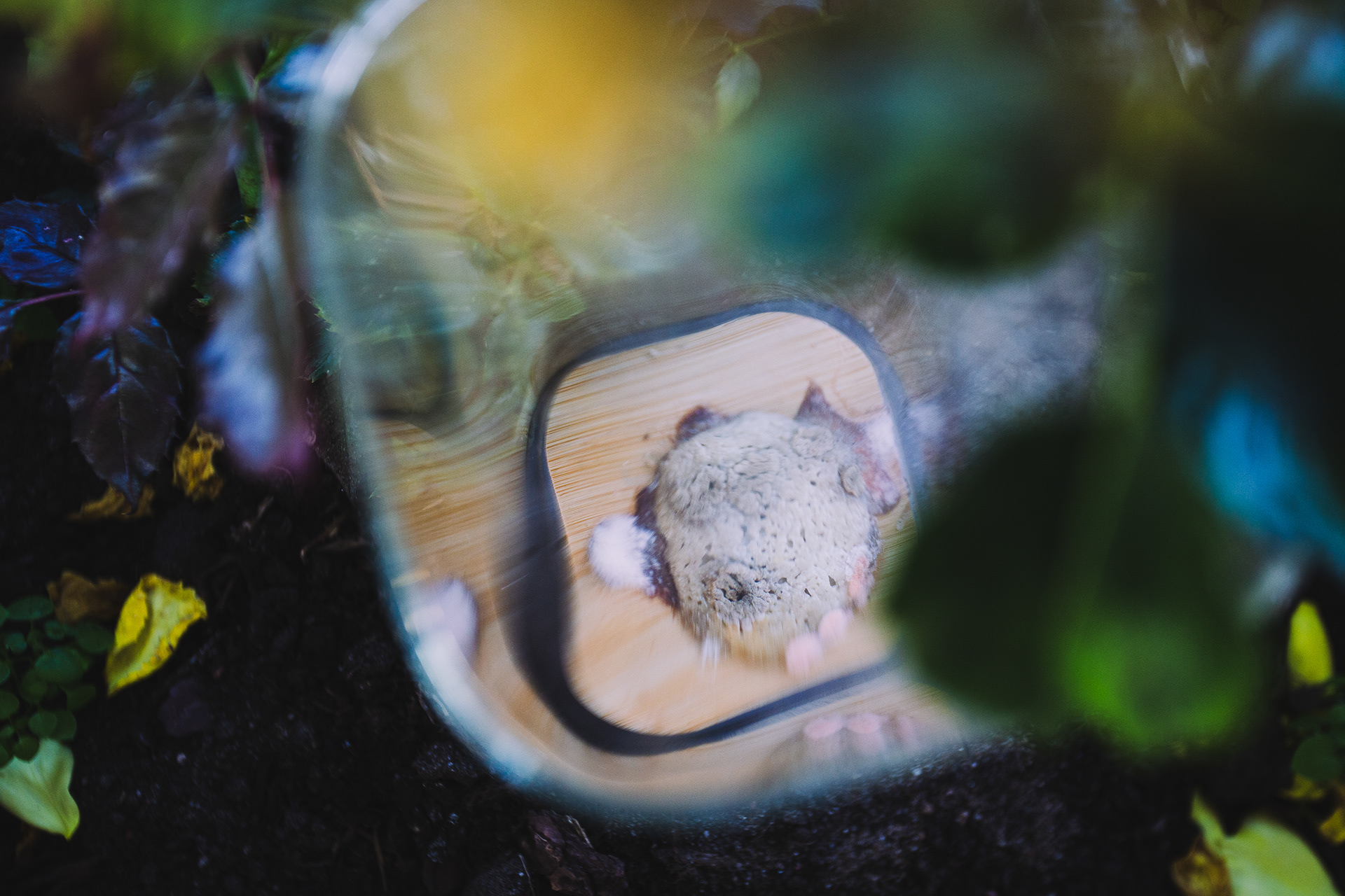 Zina Marpegan's collaboration between human, machine and fungi. Picture by: Lù Chen