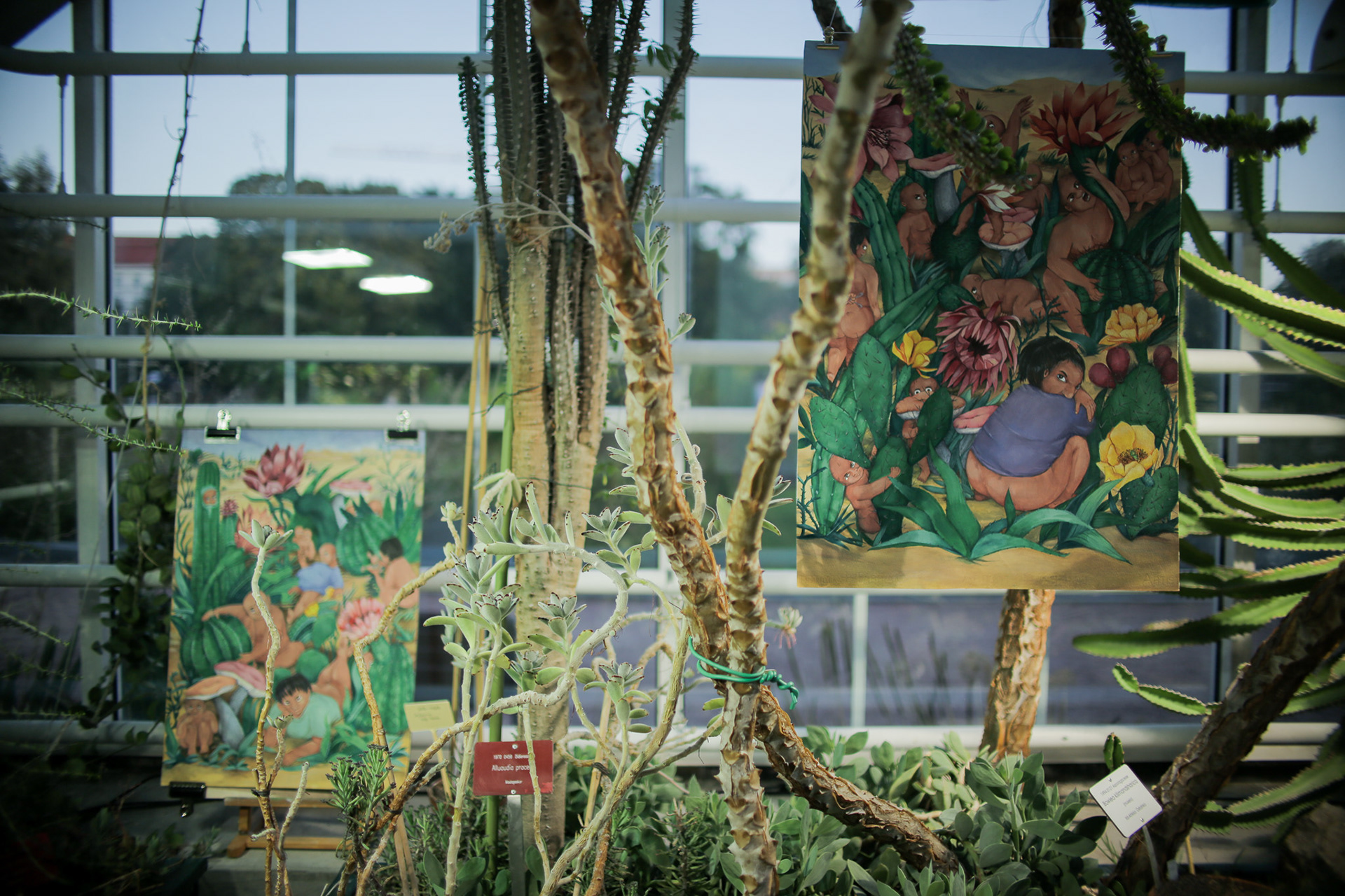 Shambhavi Singh's series of paintings Trickle trickle, soil and sizzle. Photo: Utkarsh Raut & Oona Räyhäntausta