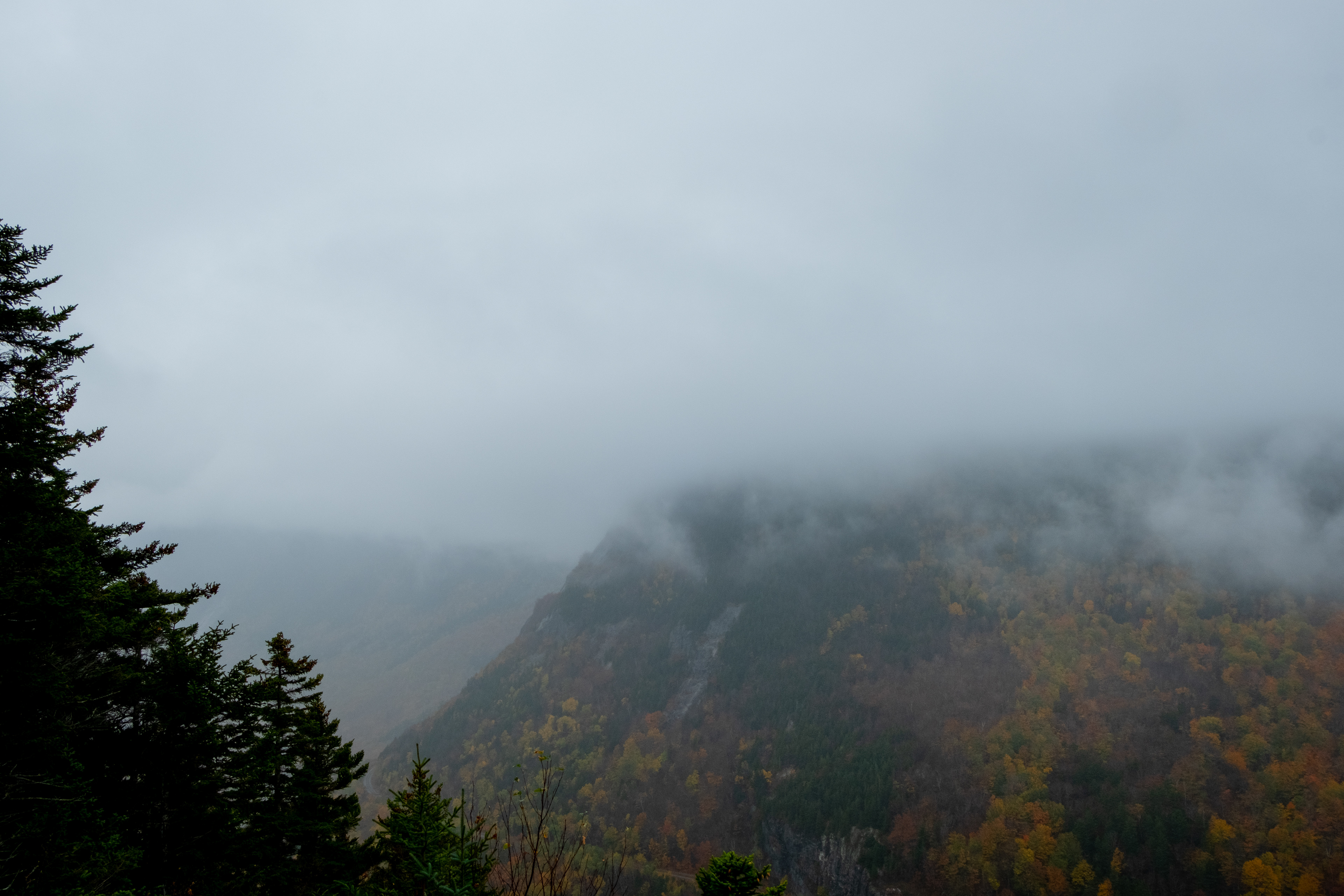 Mt. Jackson