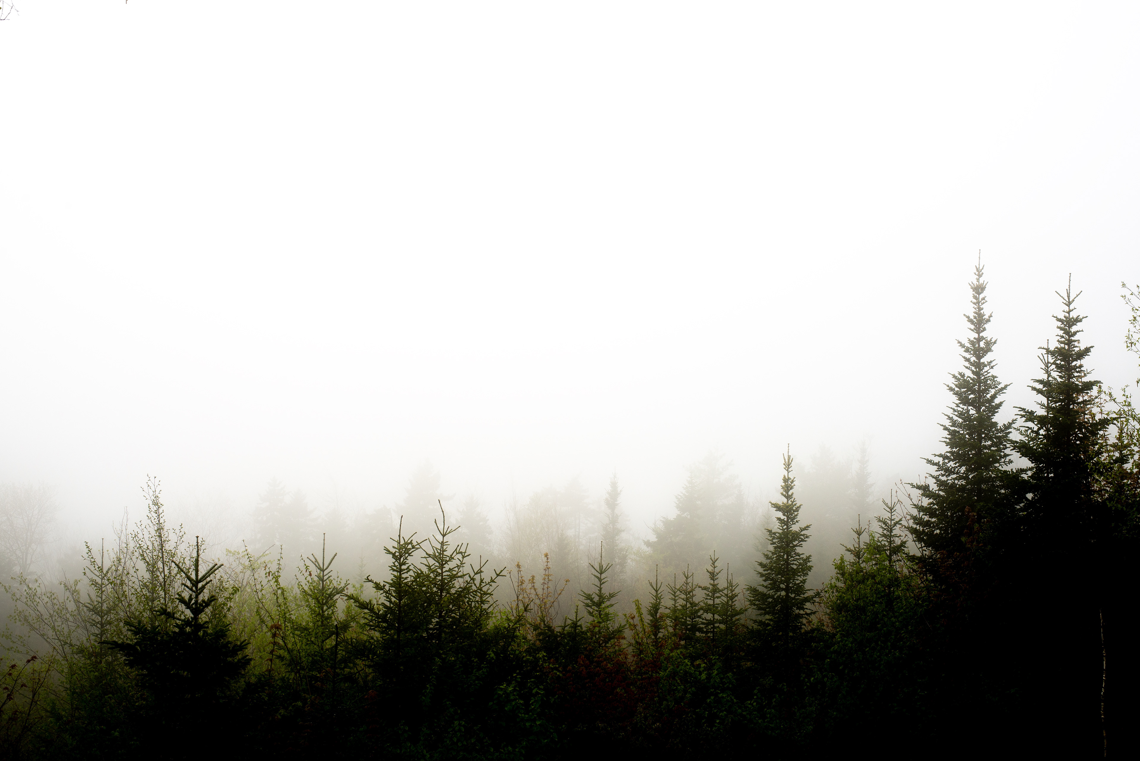 Rumney, ME