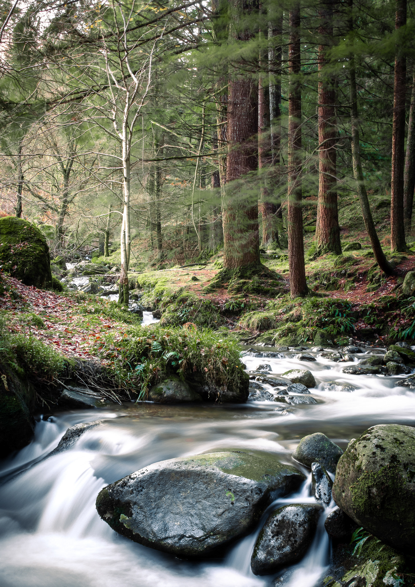 Glendalough stream