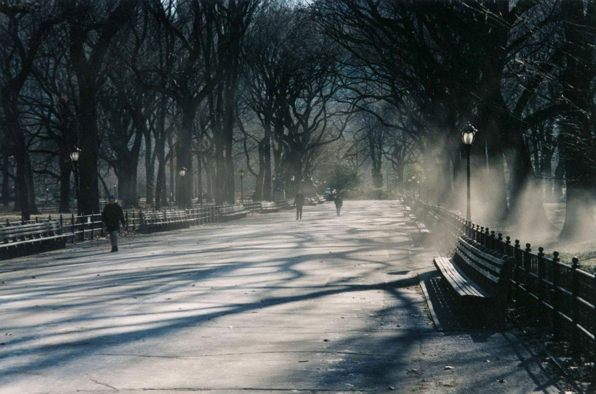 Central Park NY