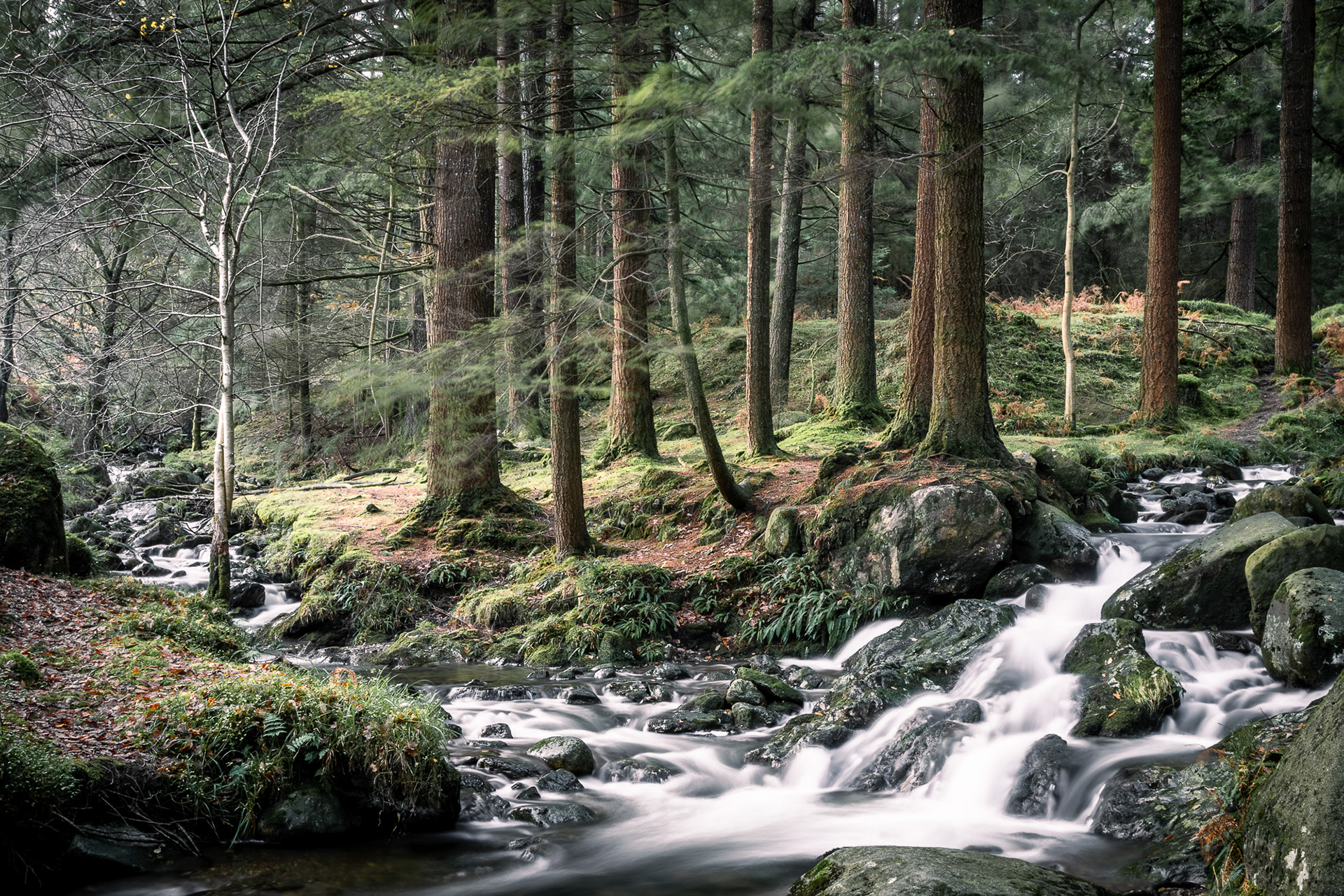 Glendalough River 03