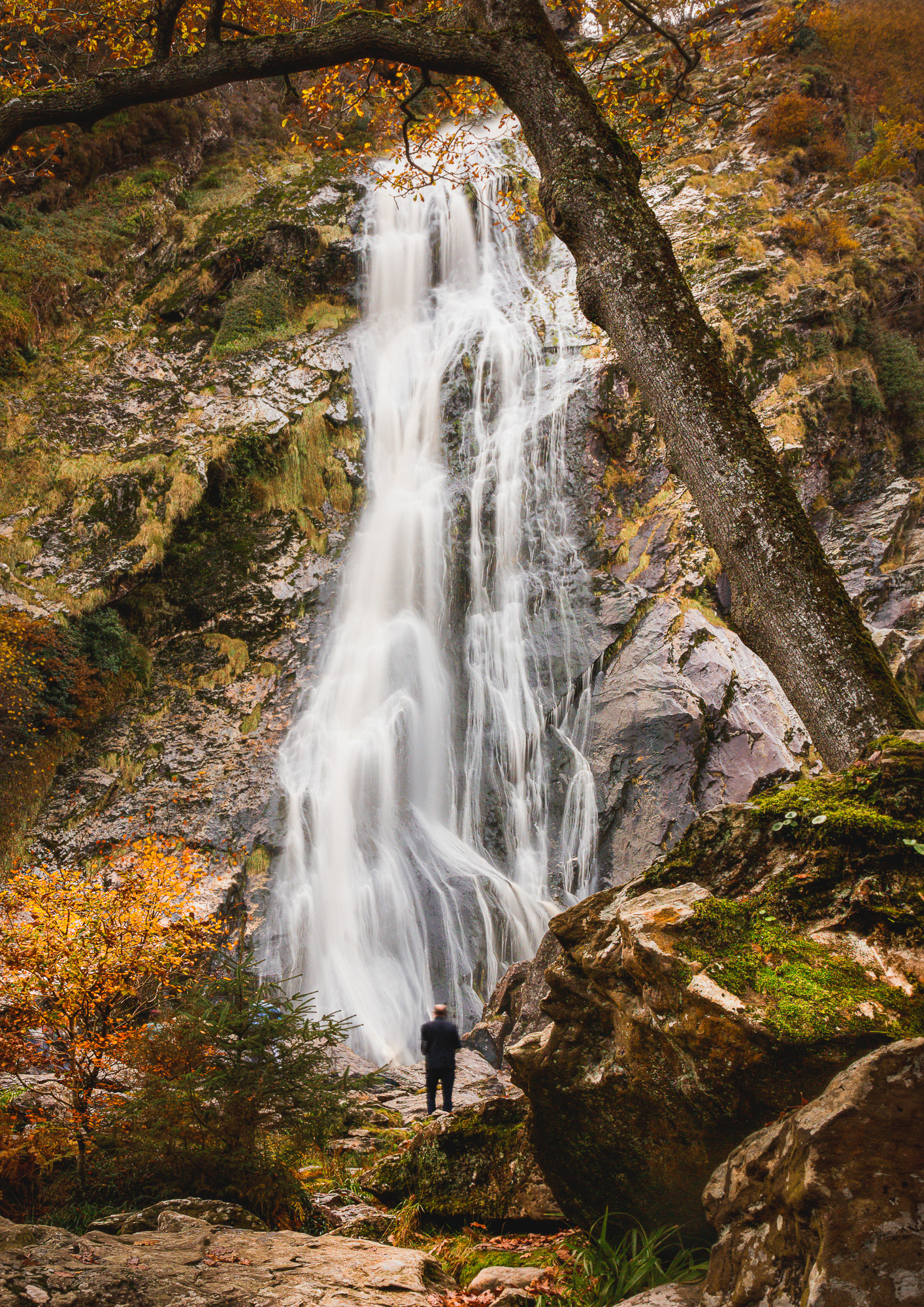 Powerscourt Waterfall