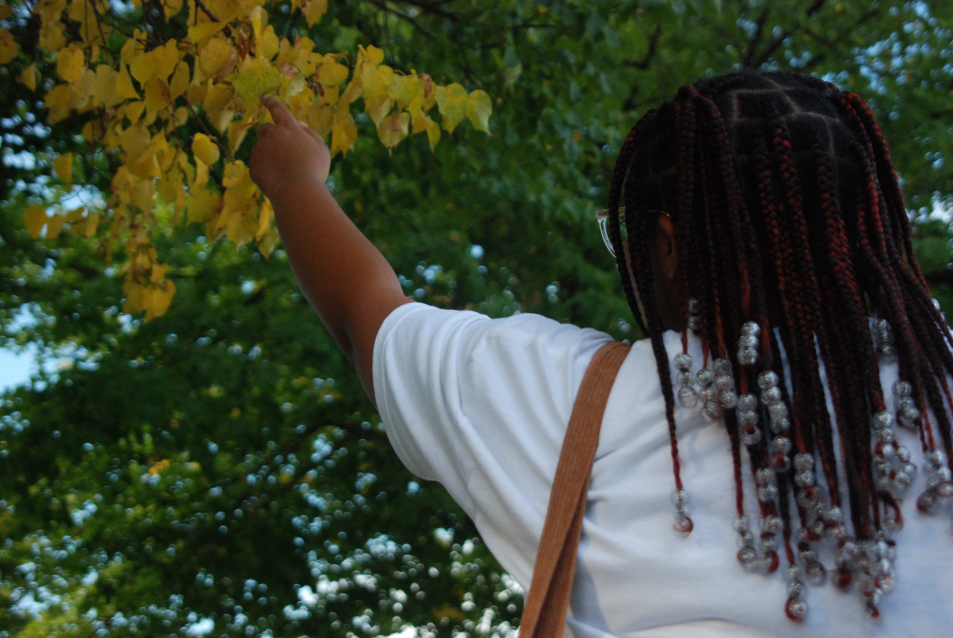 Reconnecting with nature