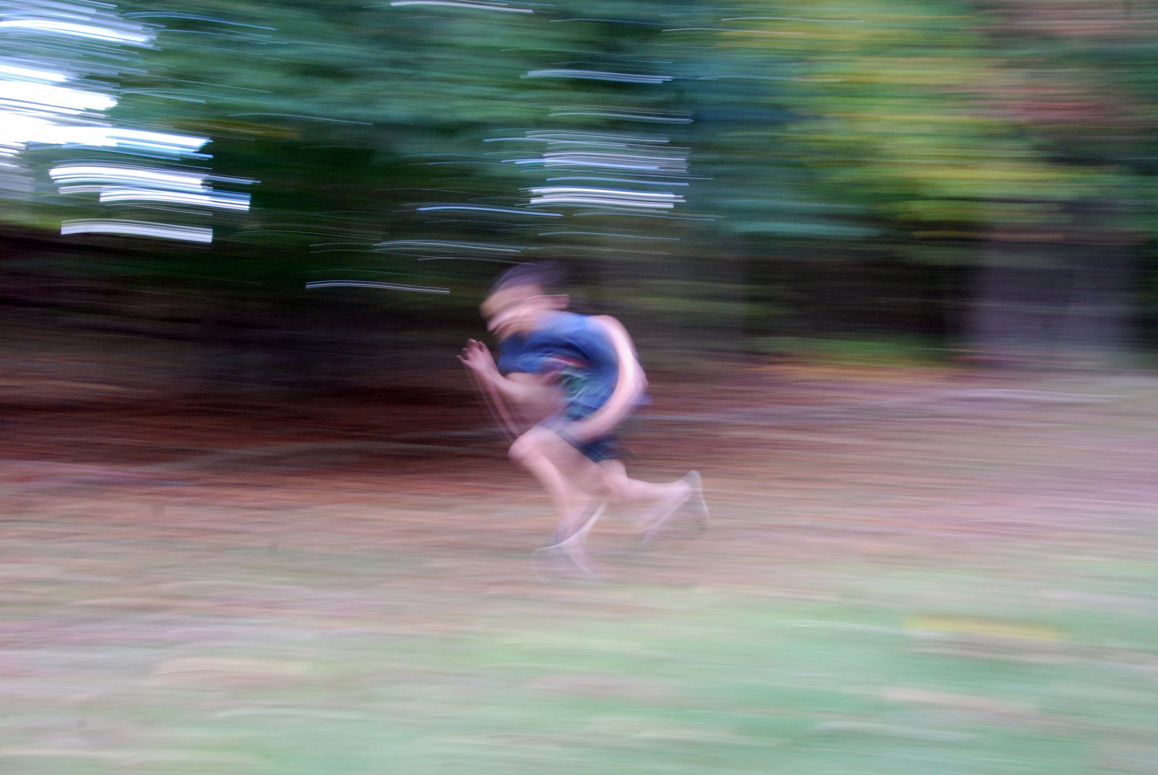 Capturing Motion 1