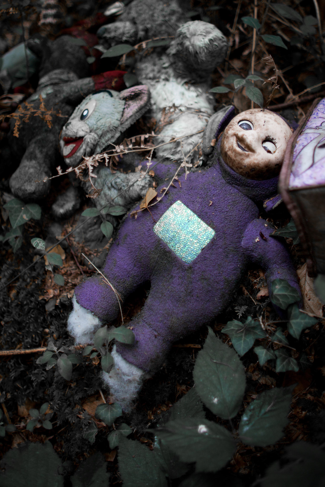 Somewhere, In A Wood, In Devon...