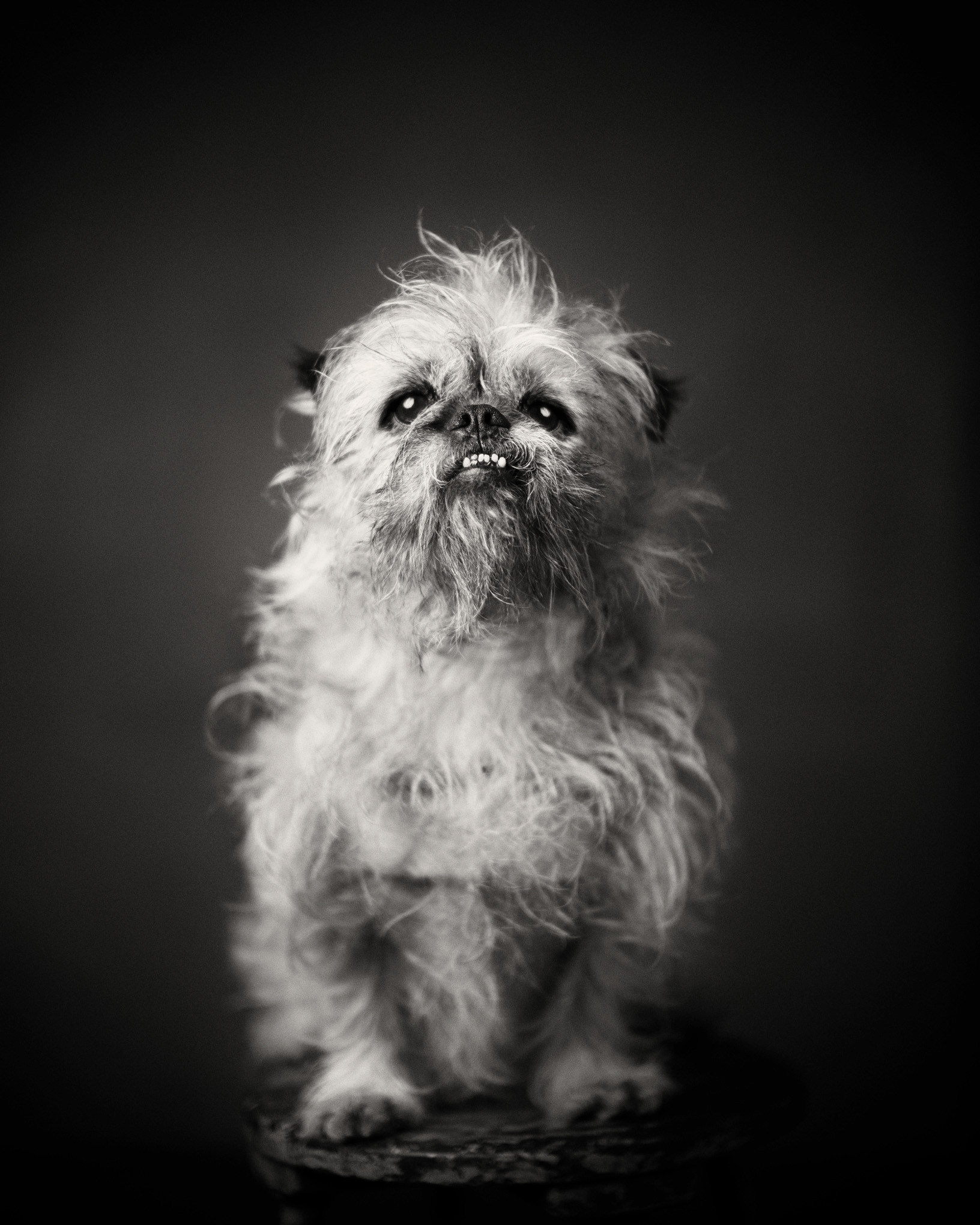 JACK 2014