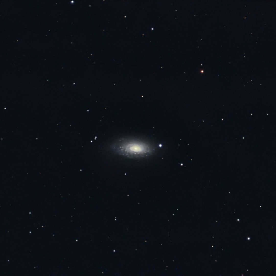 Sunflower Galaxy (M63)