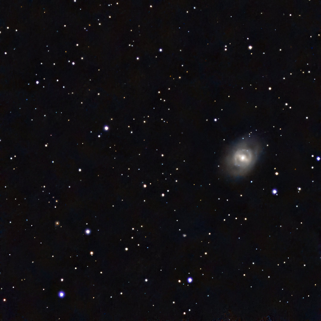 Spiral Galaxy (M95)