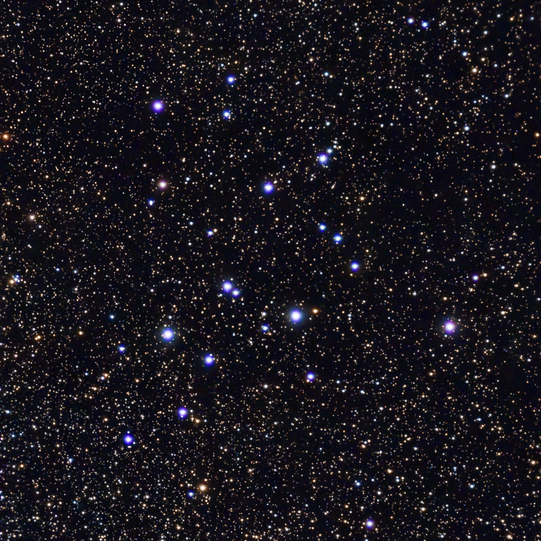 Open Cluster (M39)