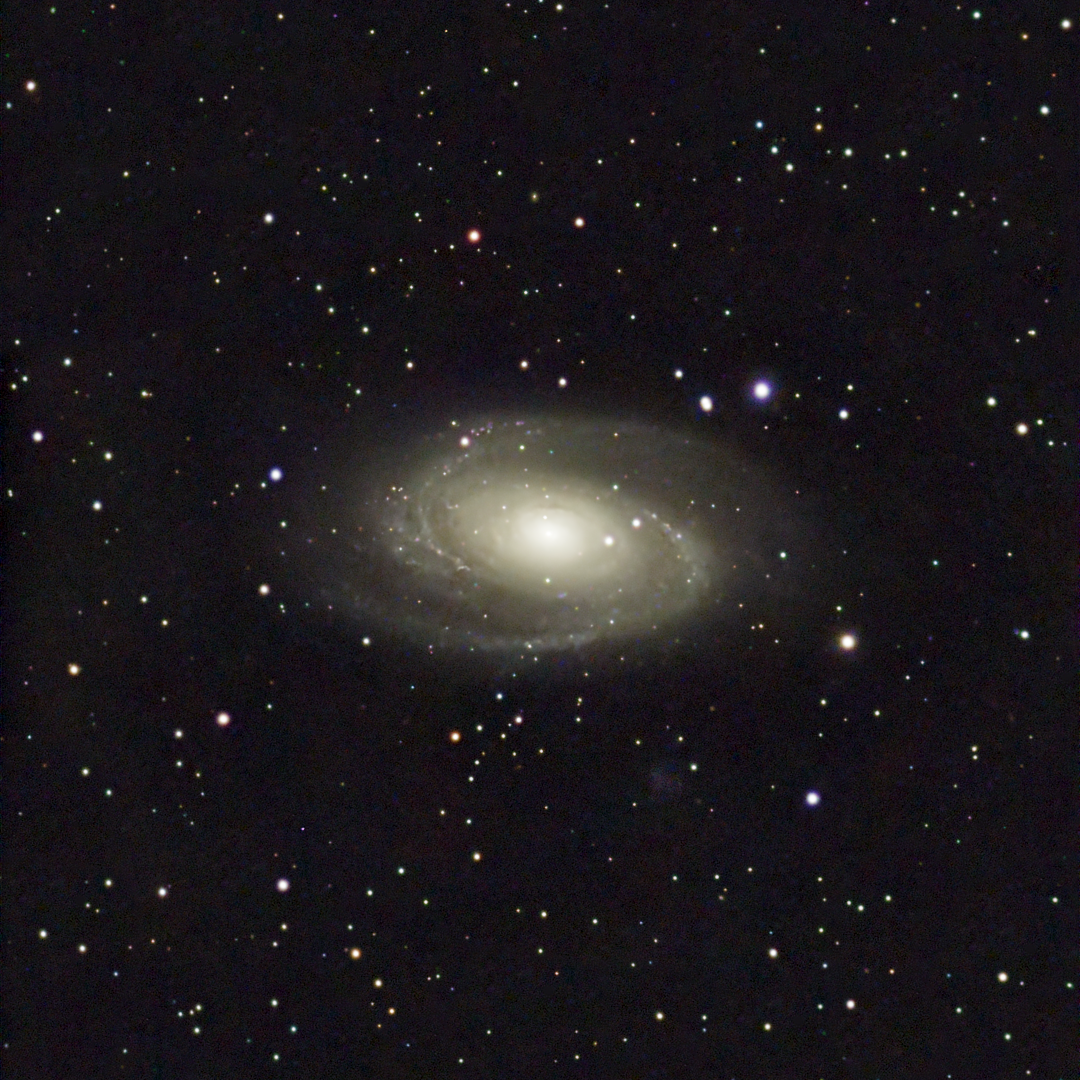 Bode's Galaxy (M81)
