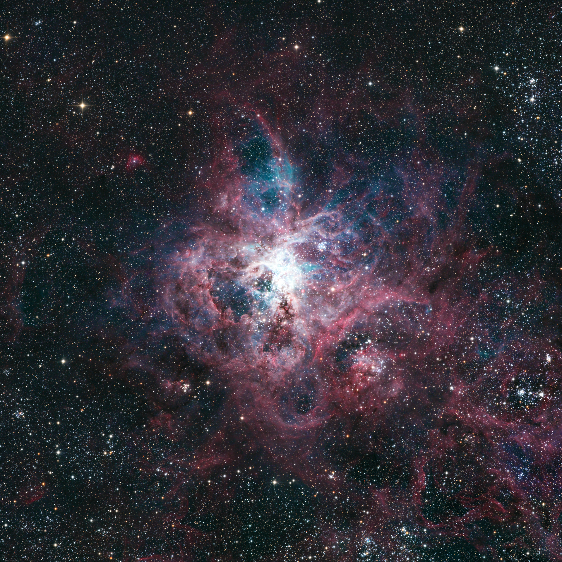 Tarantula Nebula (C103)*