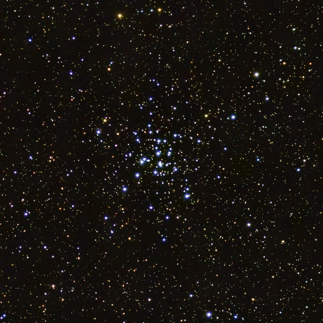 Open Cluster (M36)