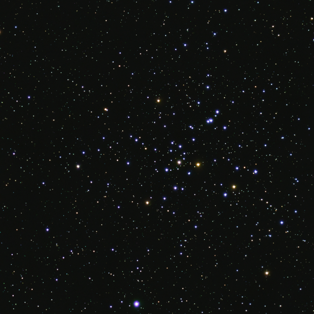 Open Cluster (M41)