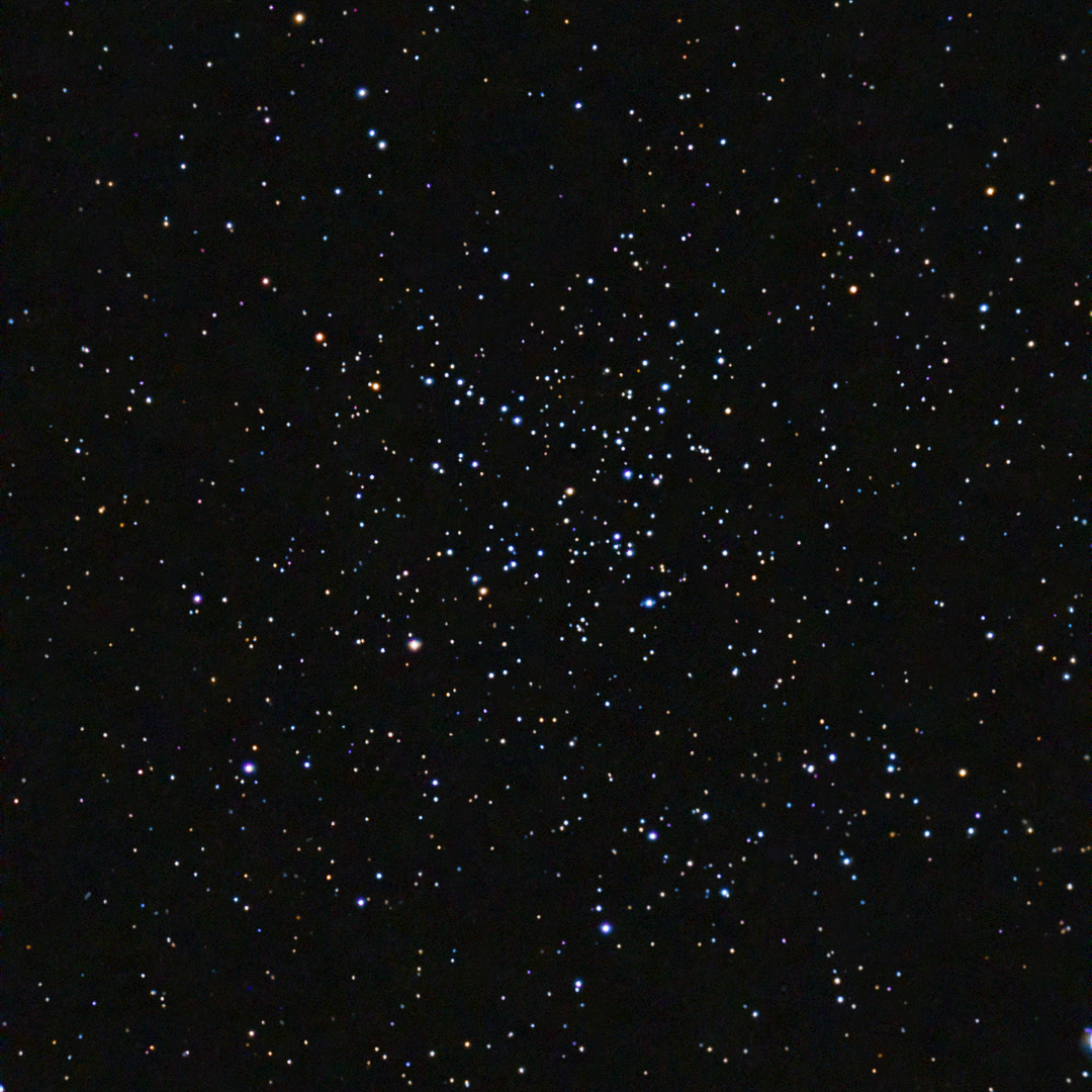 Starfish Cluster (M38)
