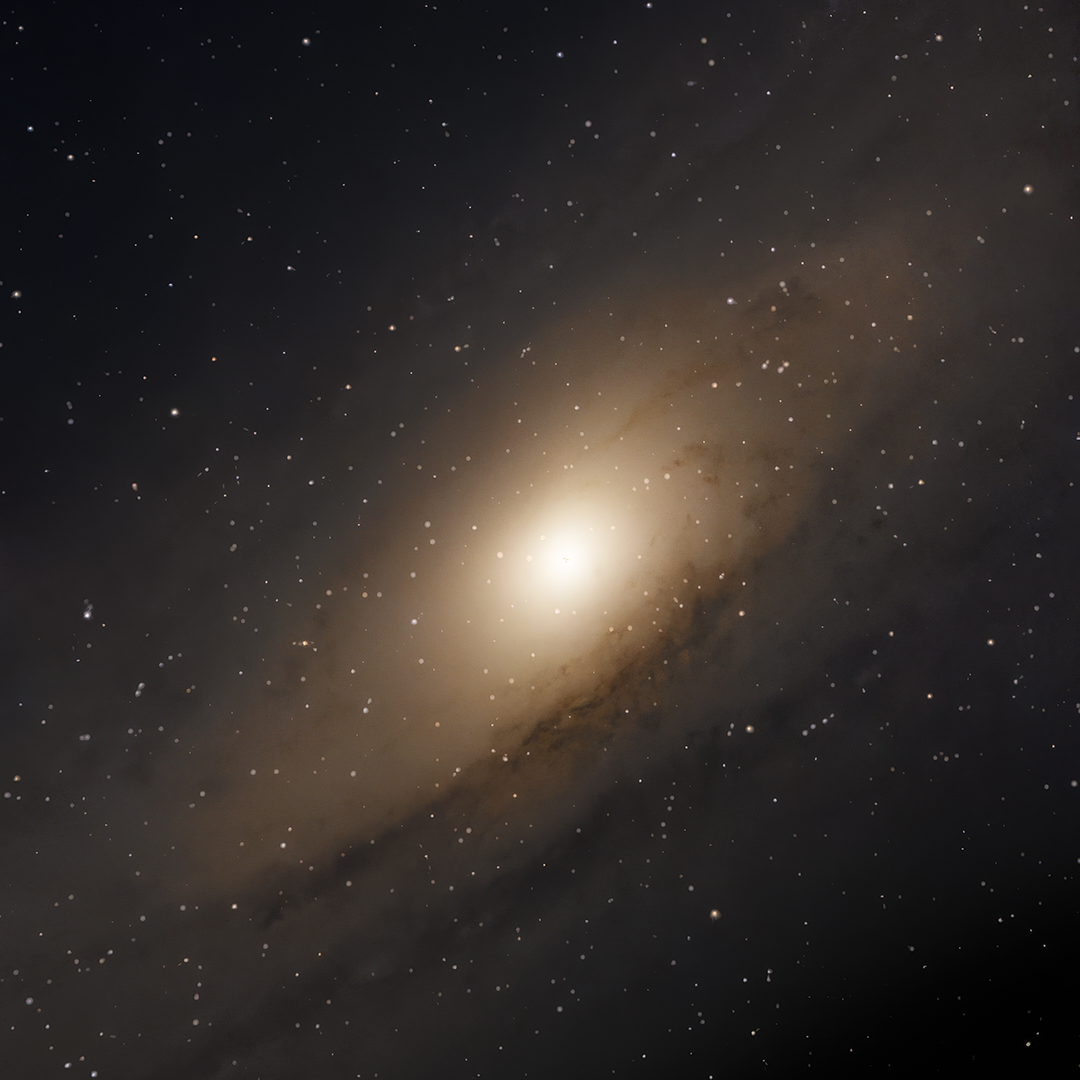 Andromeda Galaxy (M31)