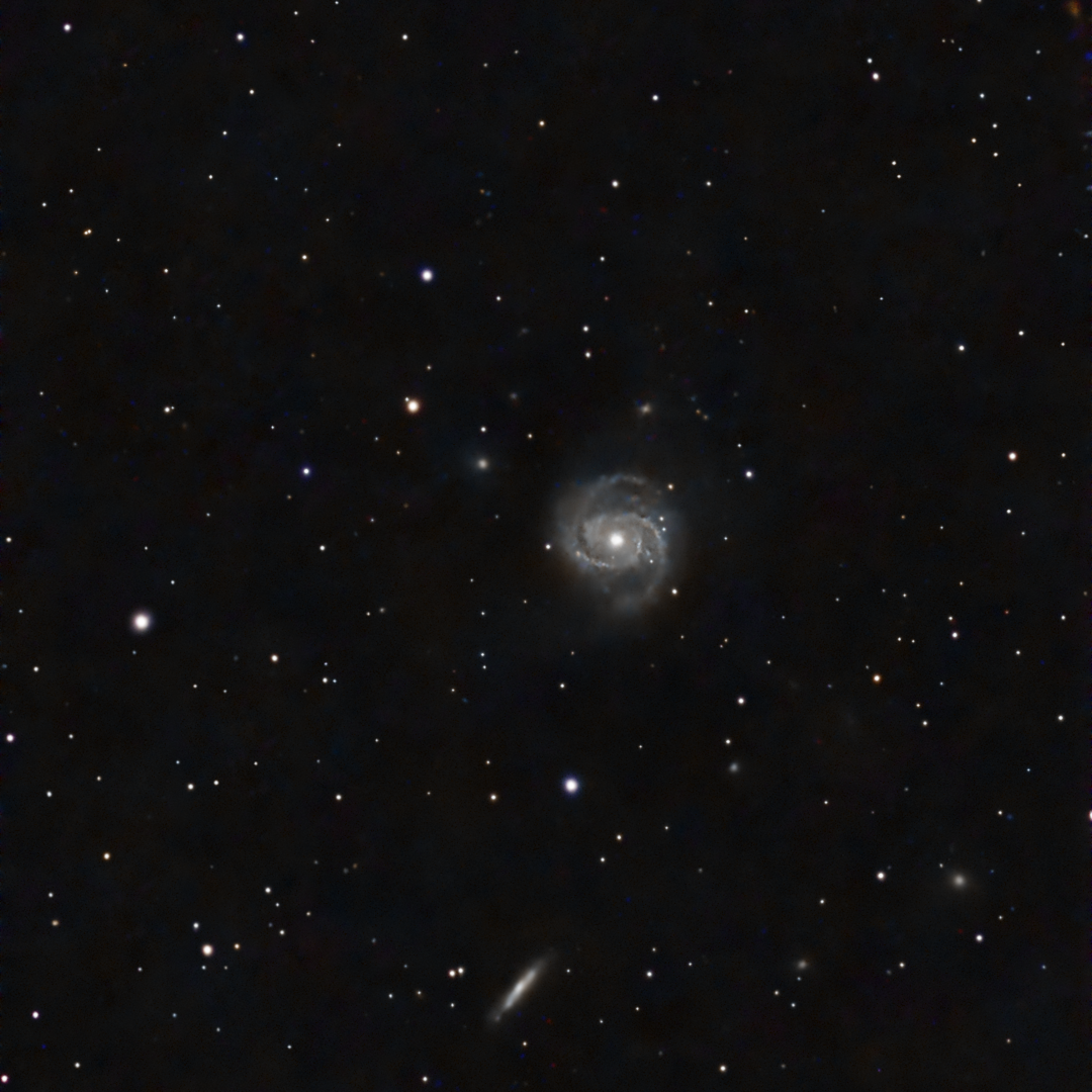 Mirror Galaxy (M100)