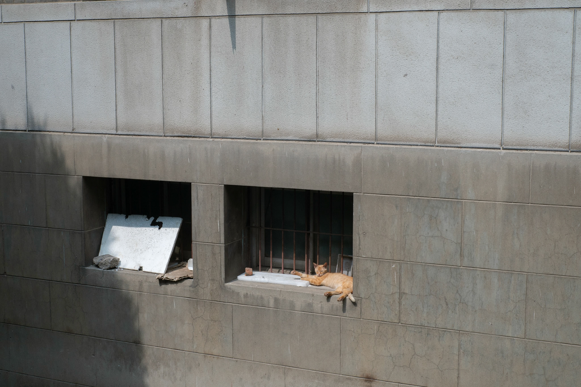 Nanjing, China, 2019