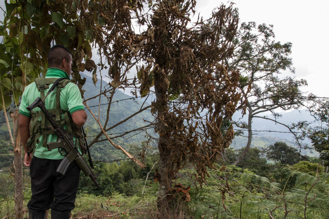 A Farc fighter patrolling his unit's campsite.