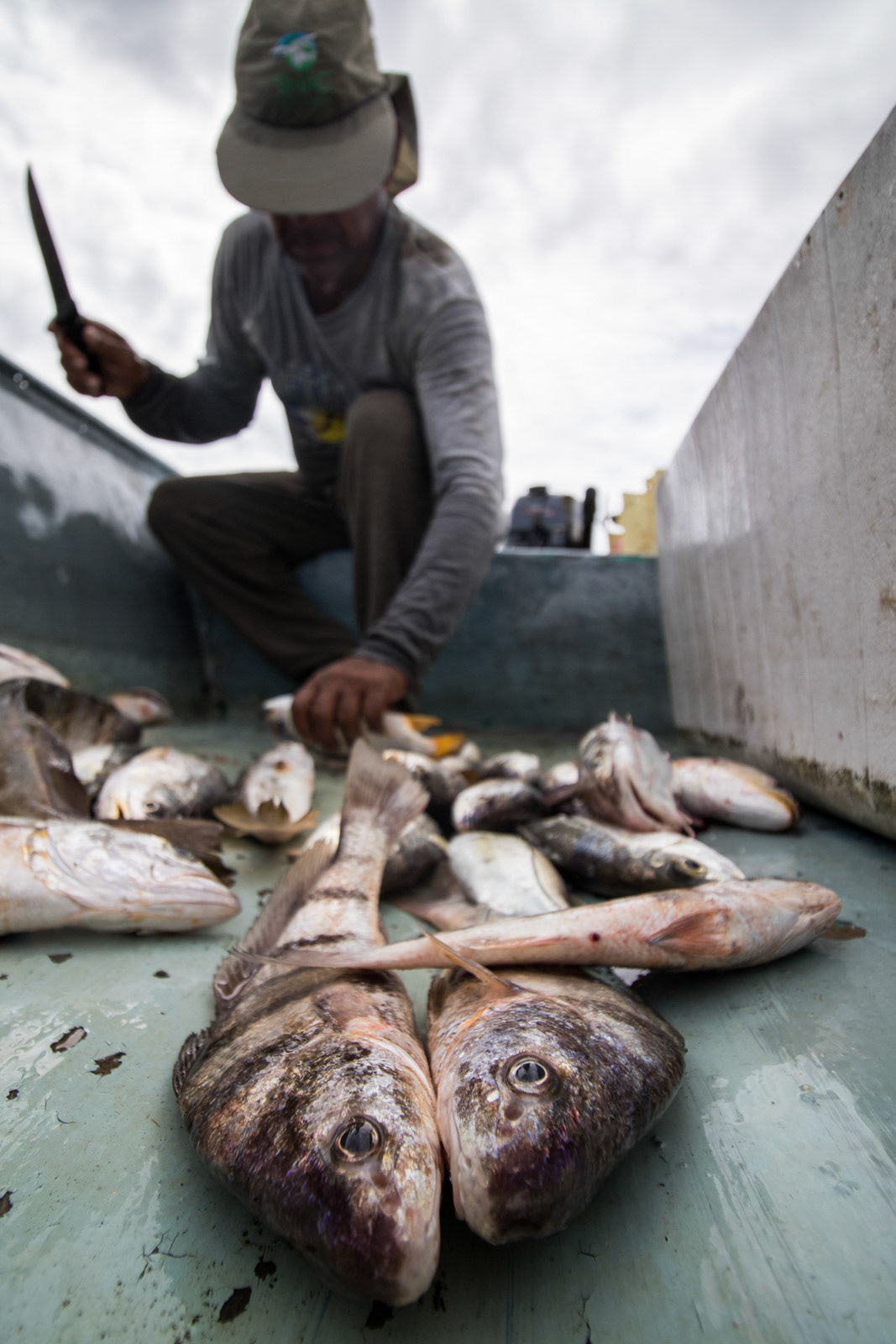 Umaña cleans his fish while still out at sea.