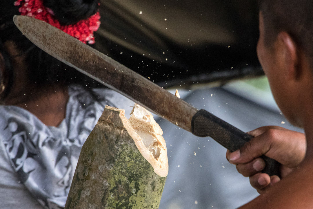 A Farc fighter cutting bamboo to build a temporary shelter.