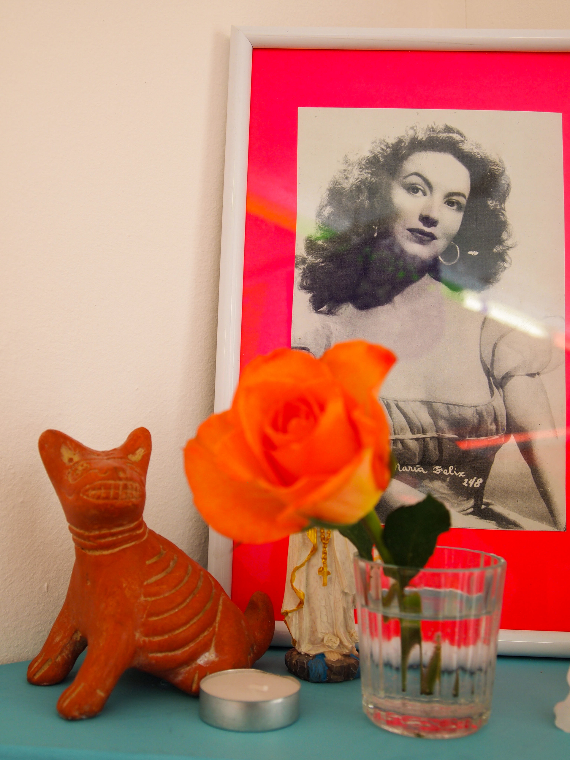 El Gatito Rosa at Rowing Projects