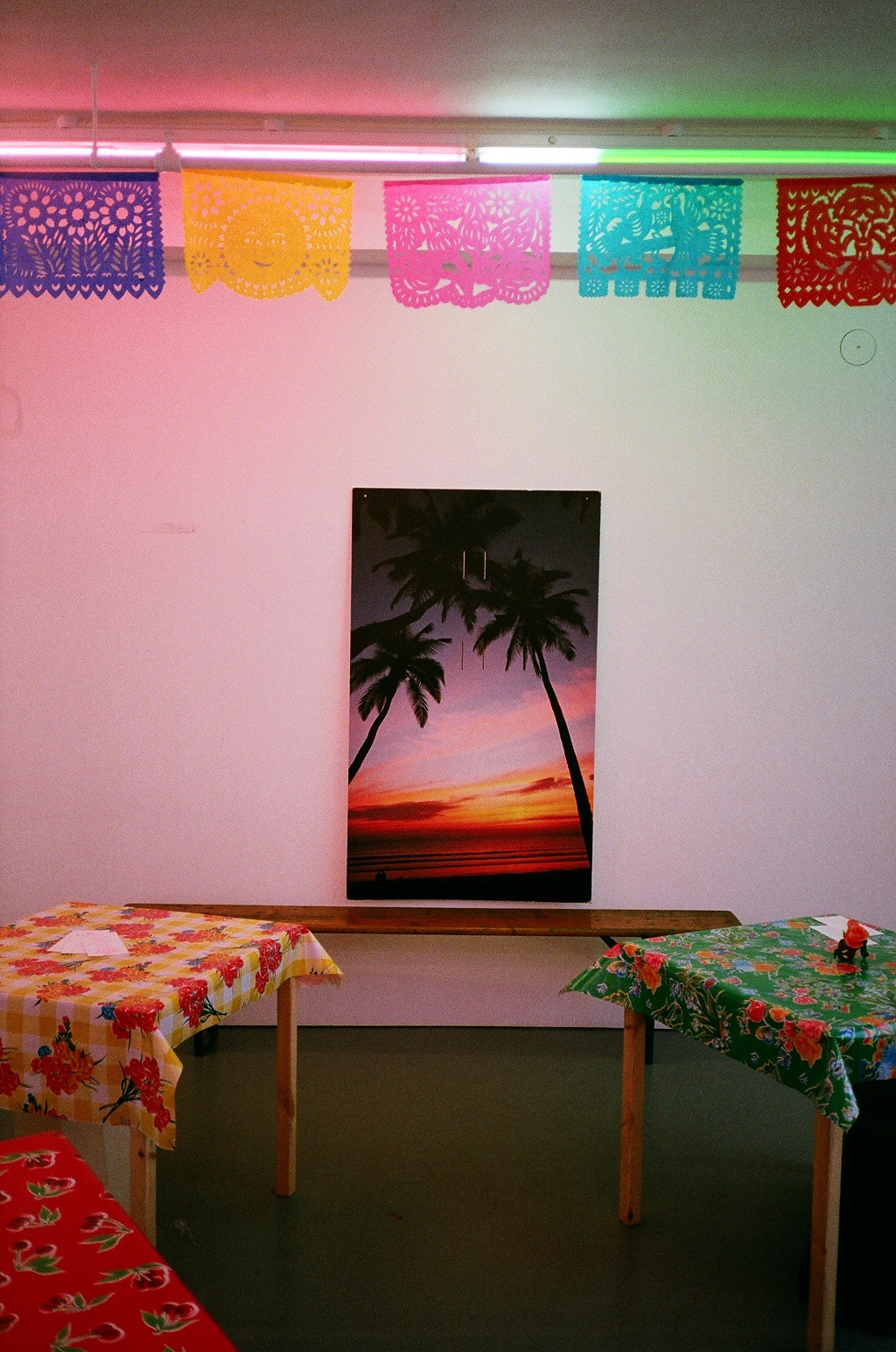 El Gatito Rosa at Rowing Projects