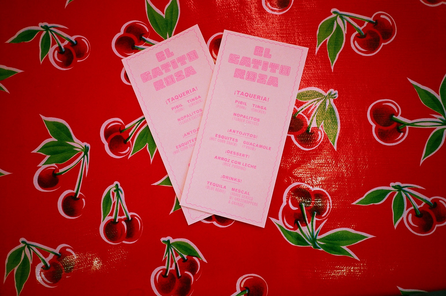 El Gatito Rosa at Rowing Projects