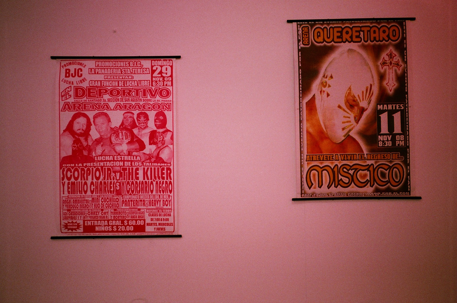 El Gatito Rosa at Rowing Projects