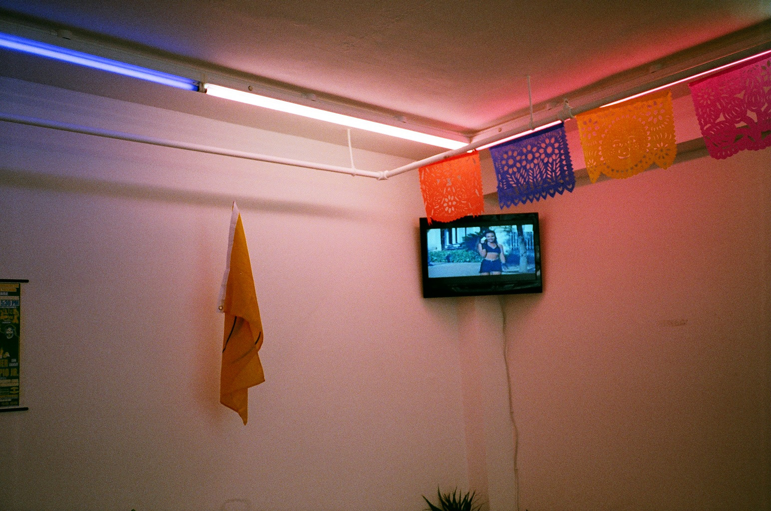 El Gatito Rosa at Rowing Projects