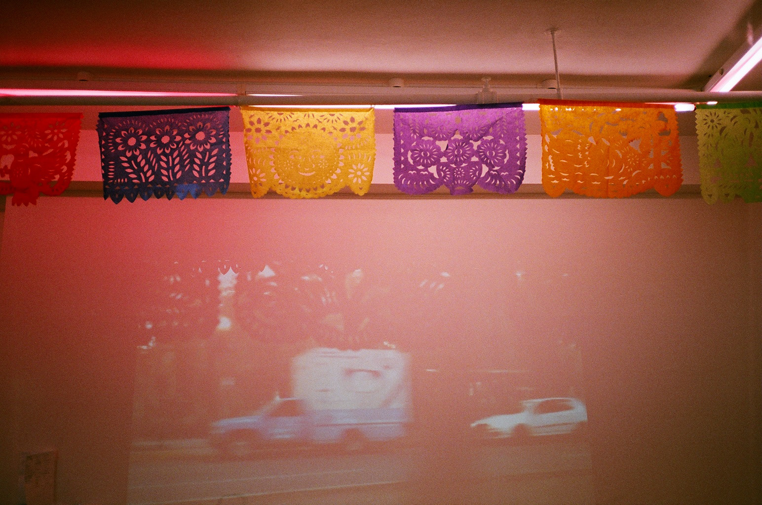 El Gatito Rosa at Rowing Projects