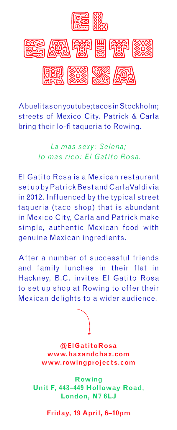 El Gatito Rosa at Rowing Projects