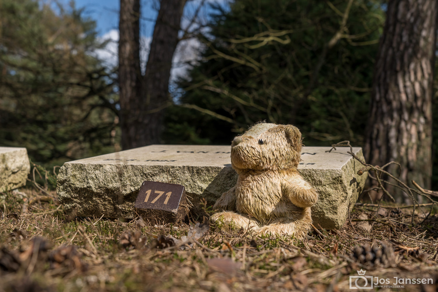 Grafsteen op Nationaal Ereveld Loenen (Sony A7III)