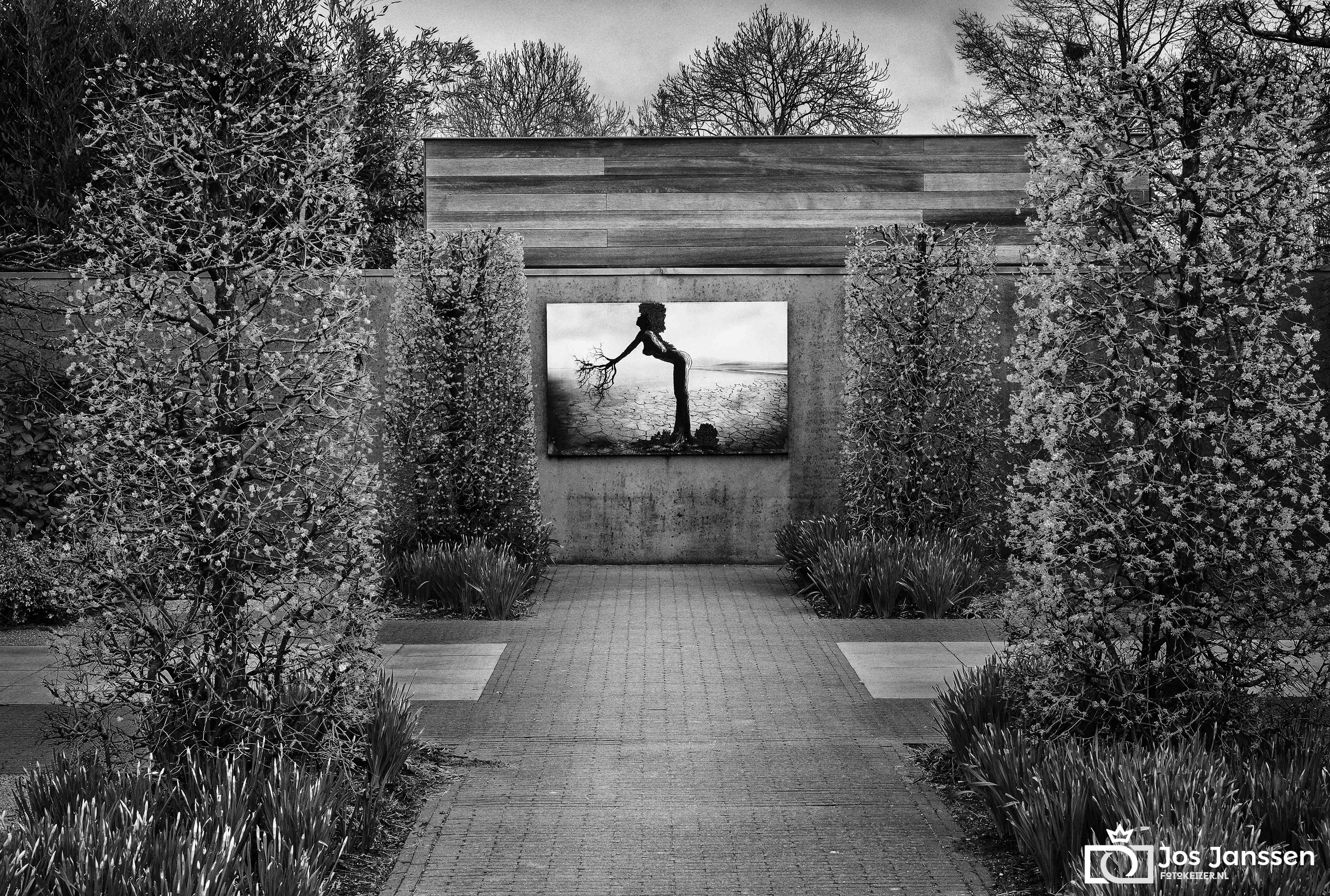 Kunst in de tuin. (Sony A7III)