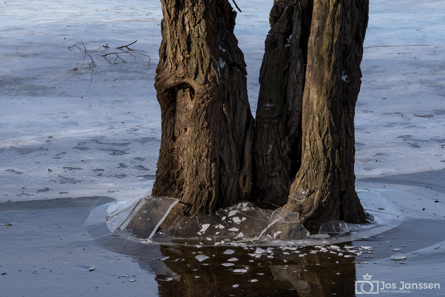  IJs rondom boom(Sony A7III)