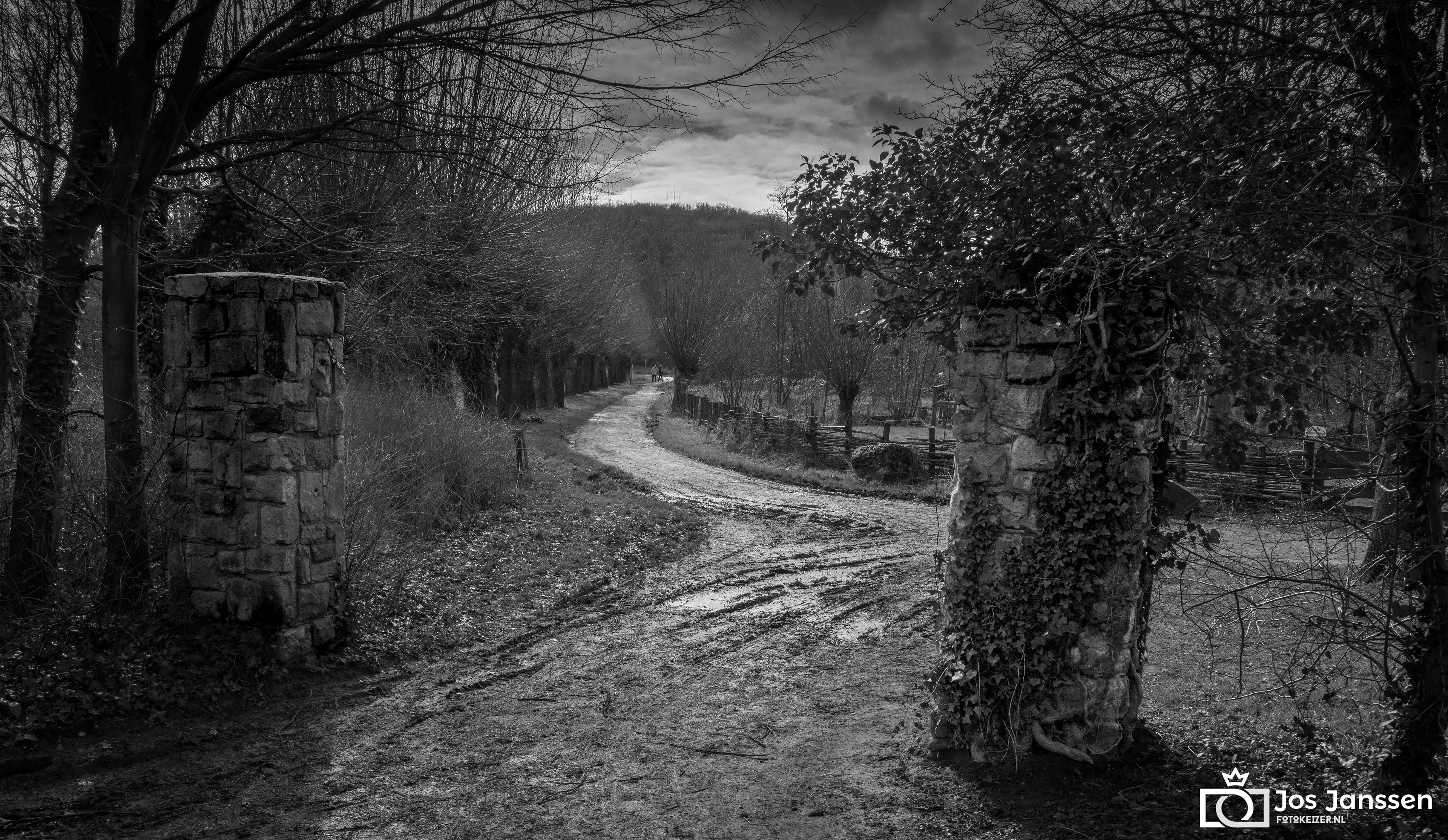 Mergelzuilen bij Valkenburg (Leica Q2 Monochrome)