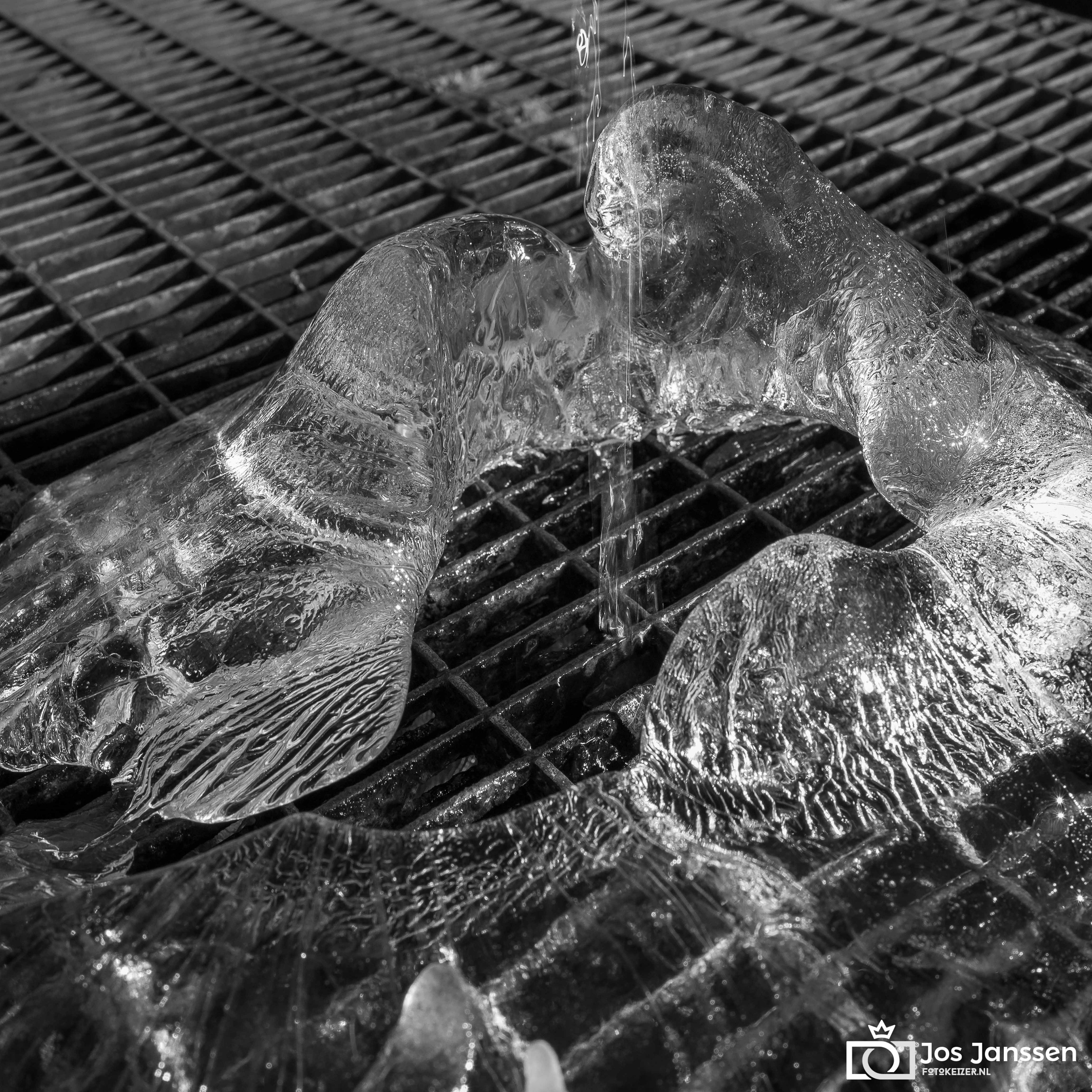 IJs op een rooster (Leica Q2 Monochrome)