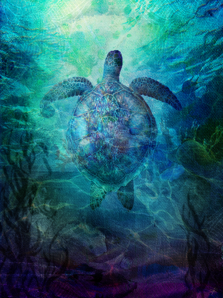 Turtle, Flow, Determination