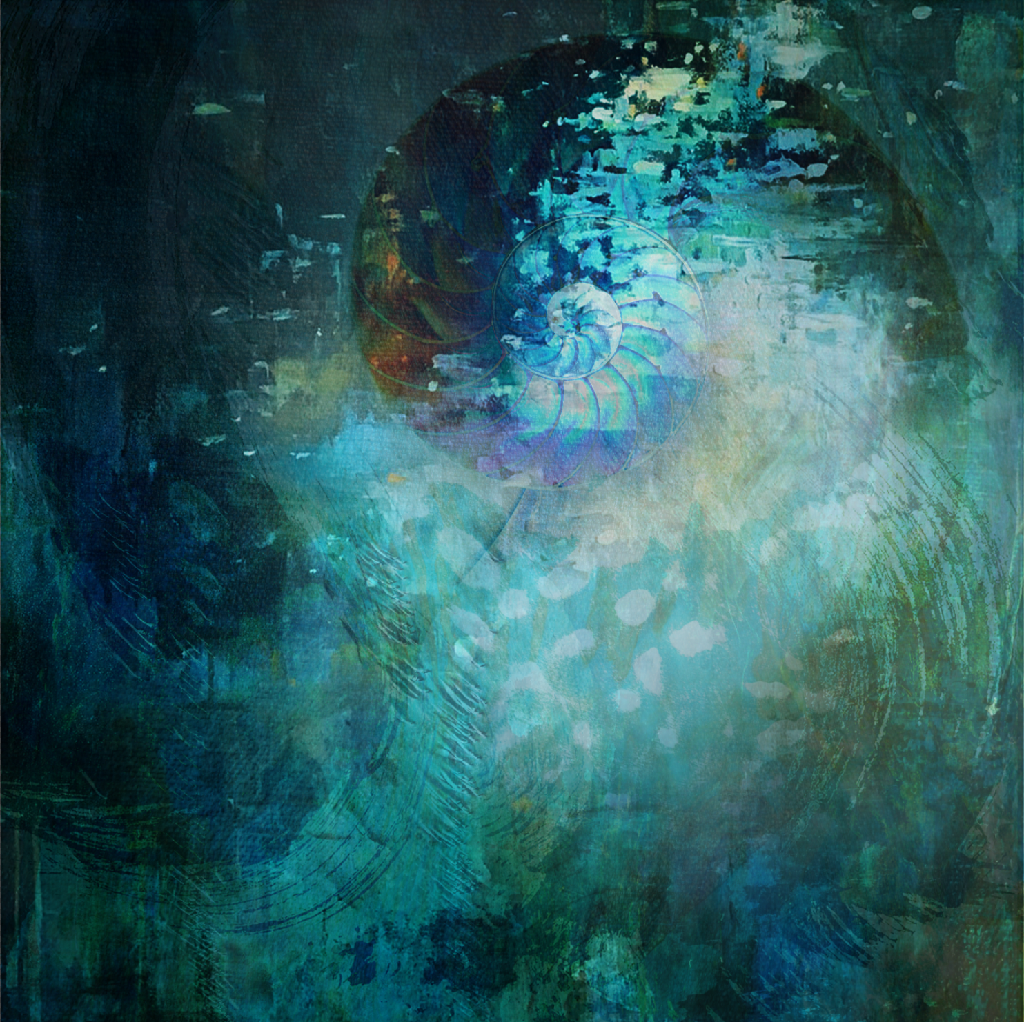 Nautilus
