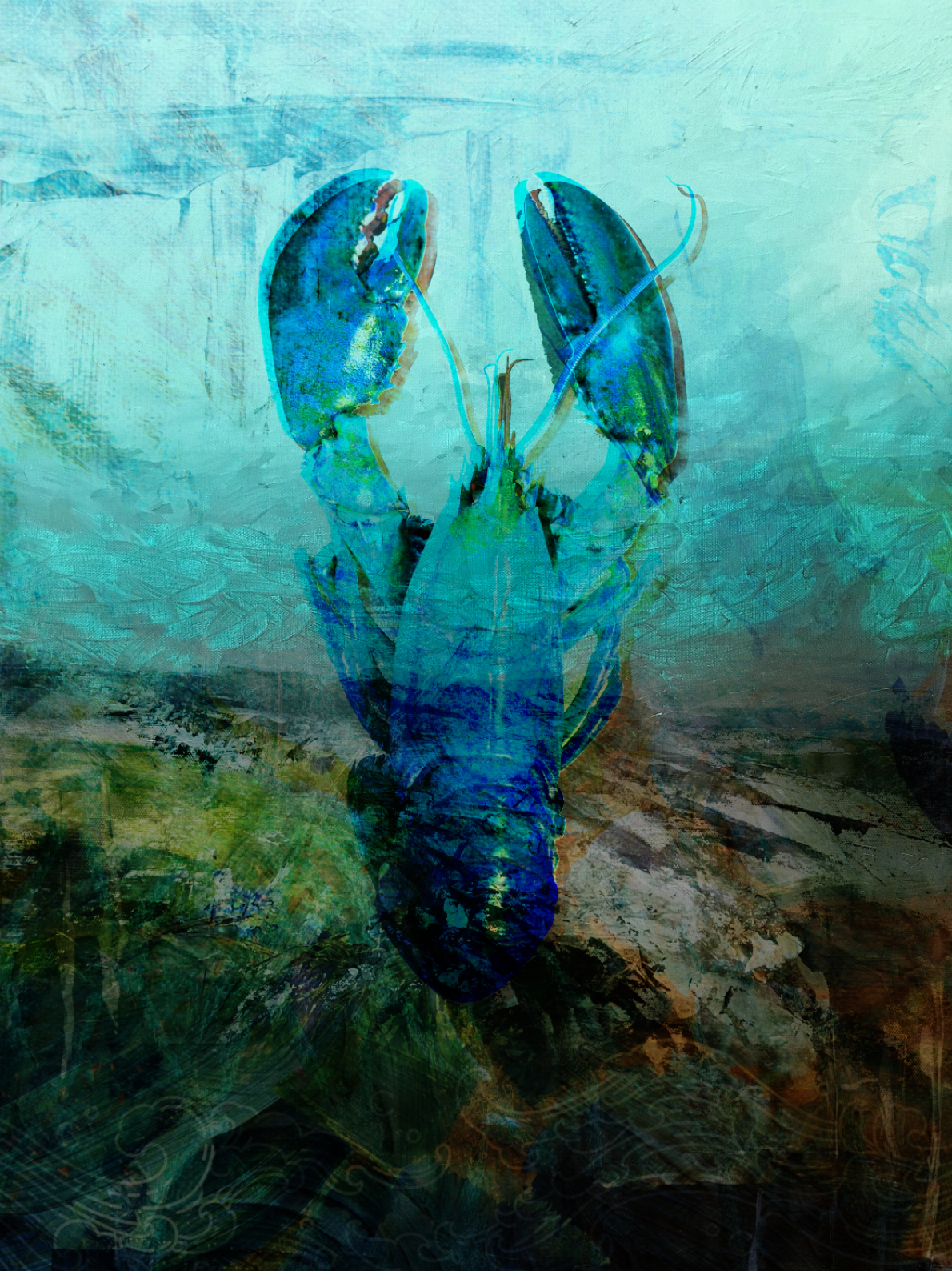Lobster in the Blue