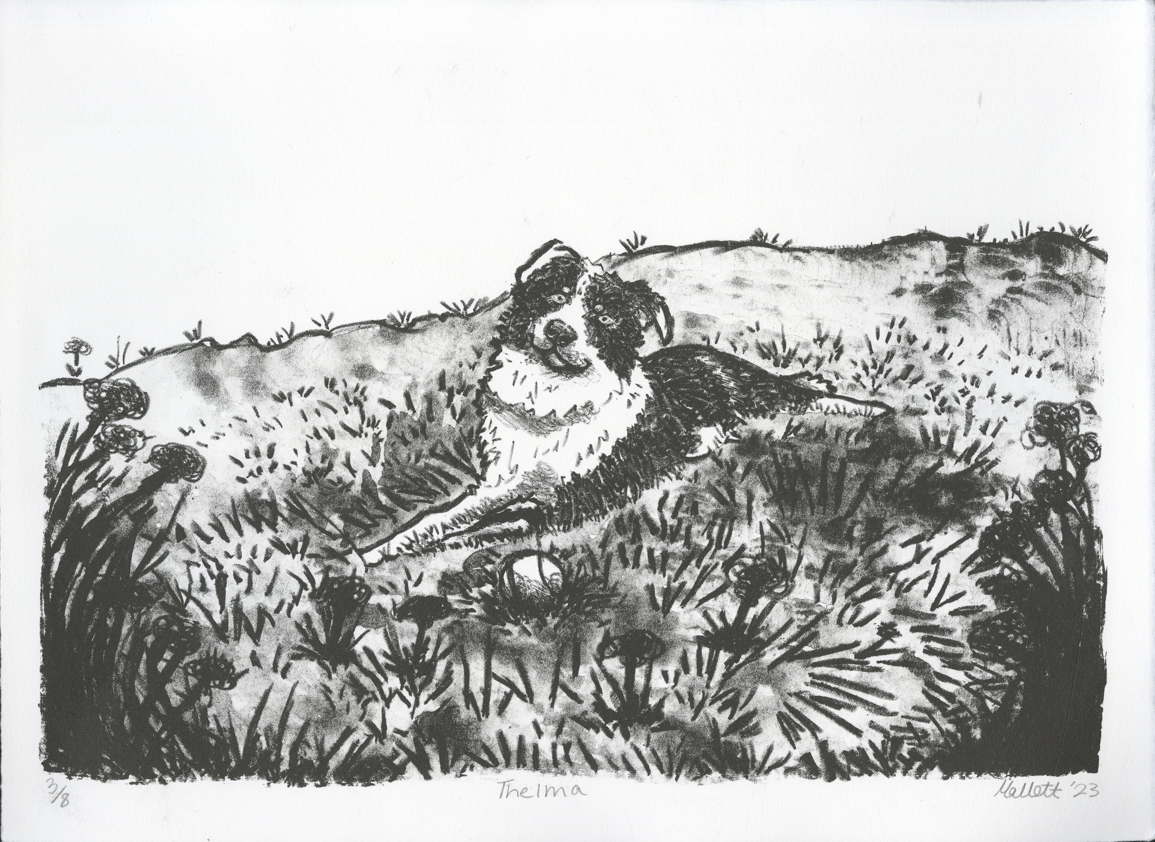 stone lithography, 11x14