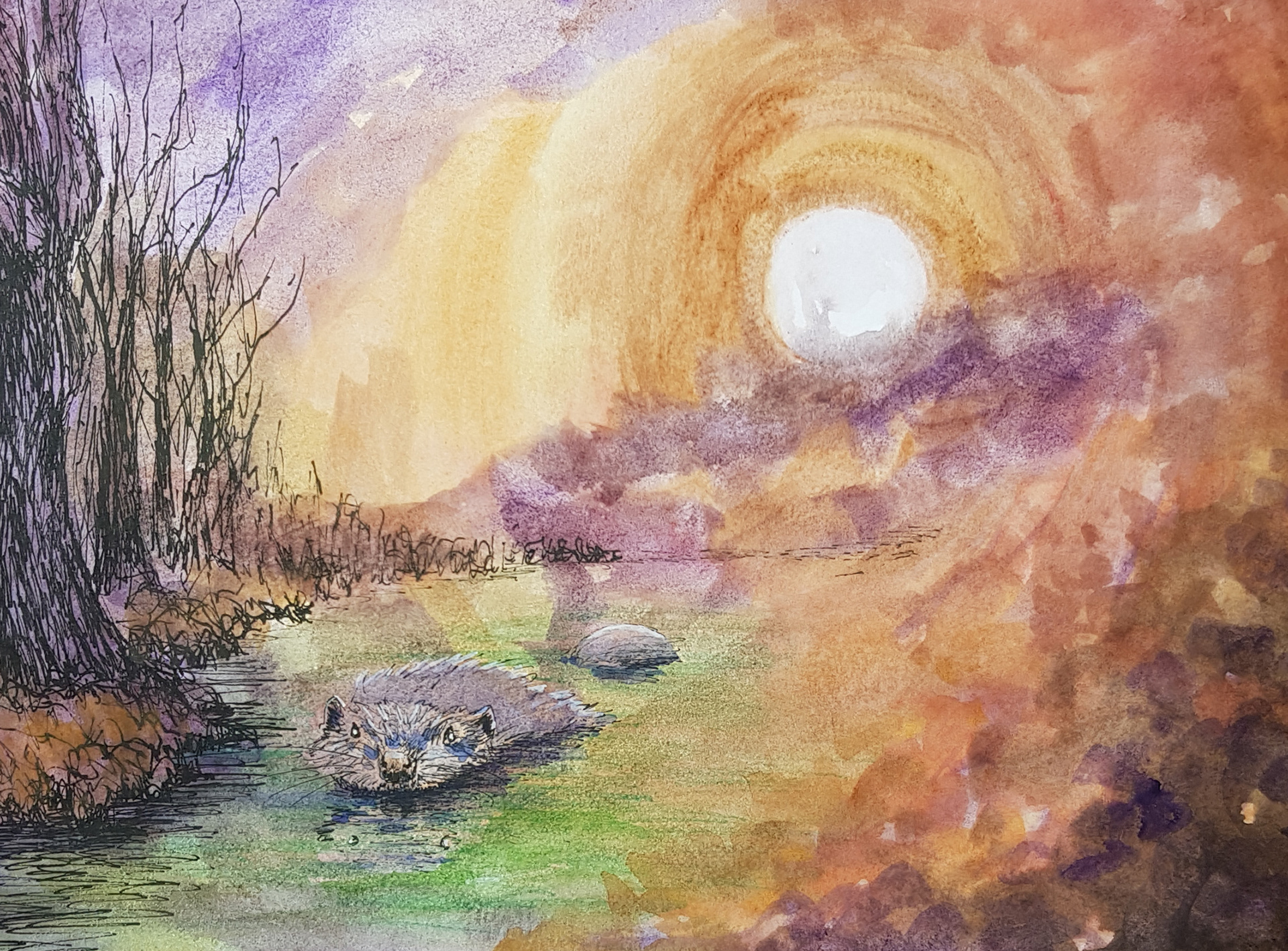 BEAVER MOON