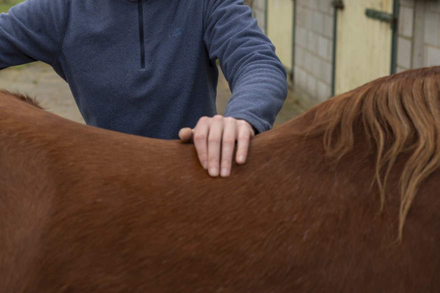 verschillende massagetechnieken kunnen gebruikt worden bij het helpen ontspannen