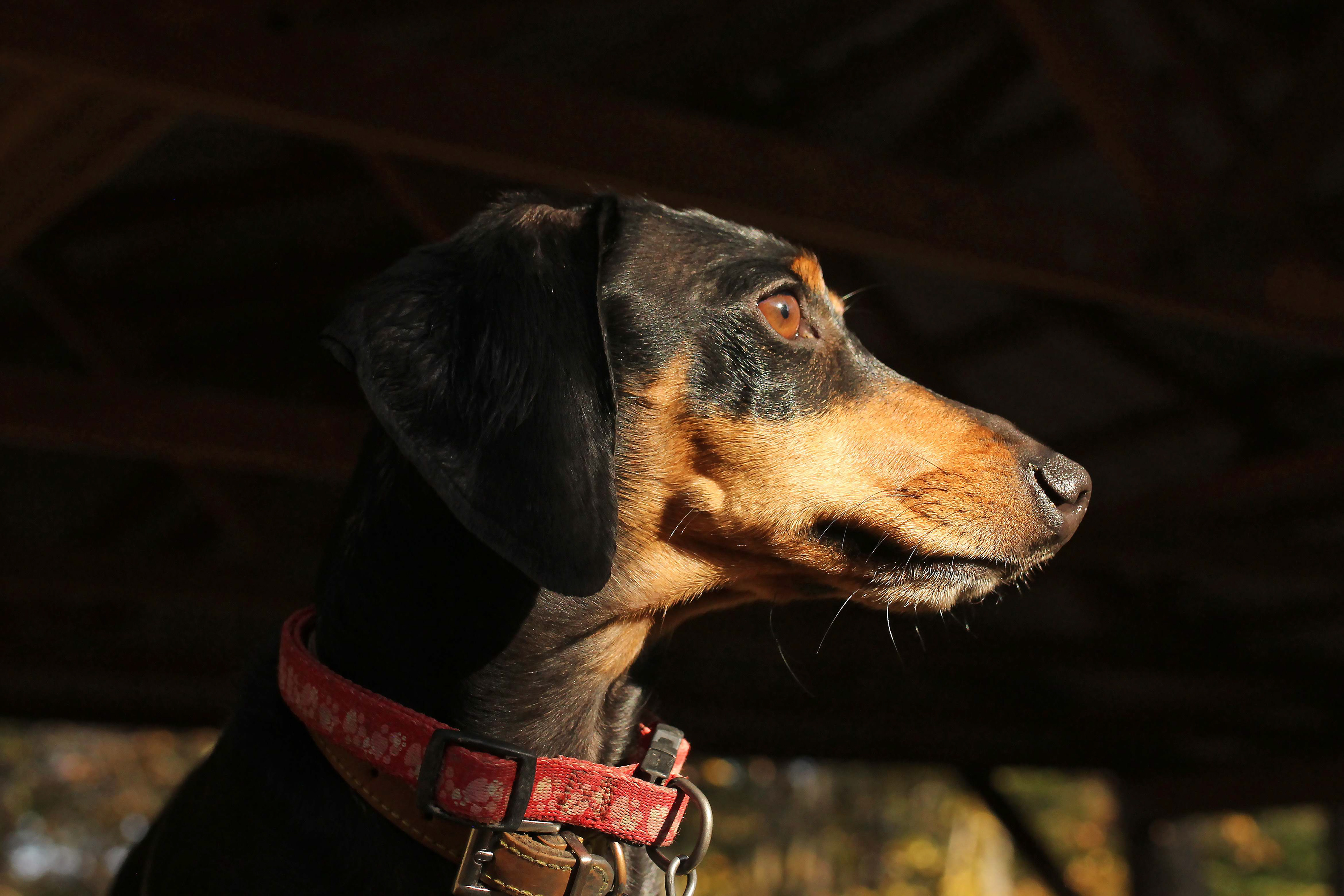 Ollie - Head of PR