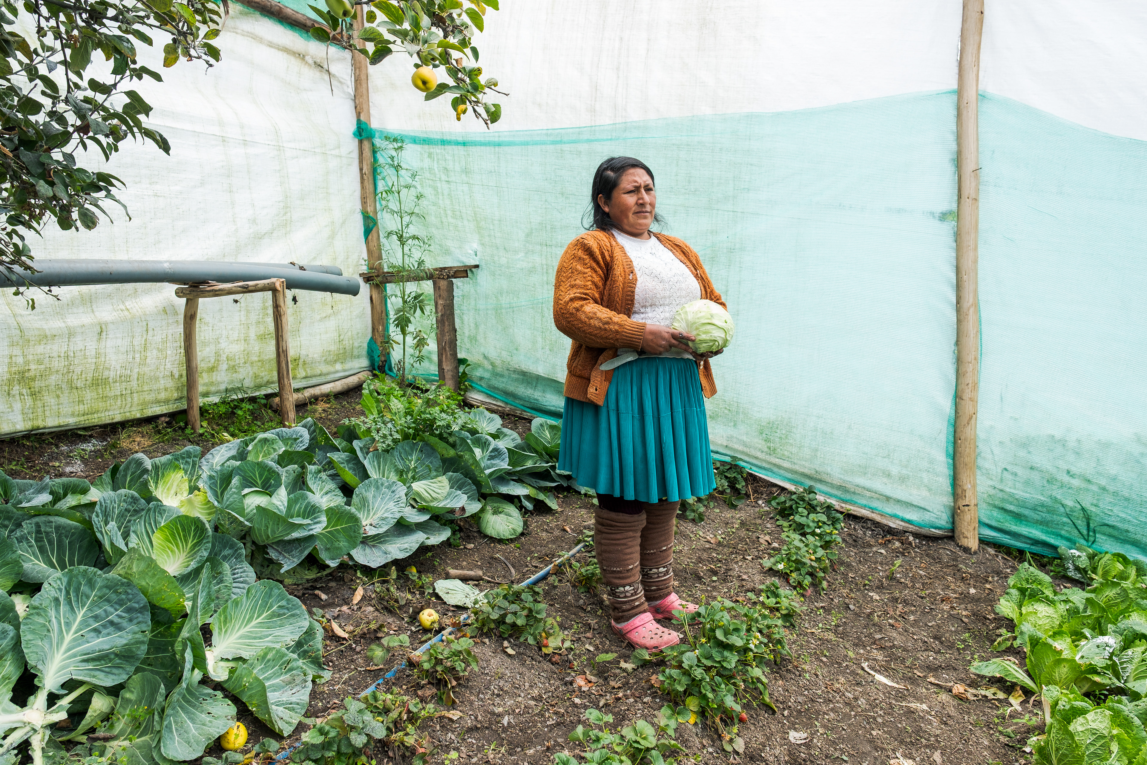 Elizabeth Ascho Pedraza de Ccompicancha
