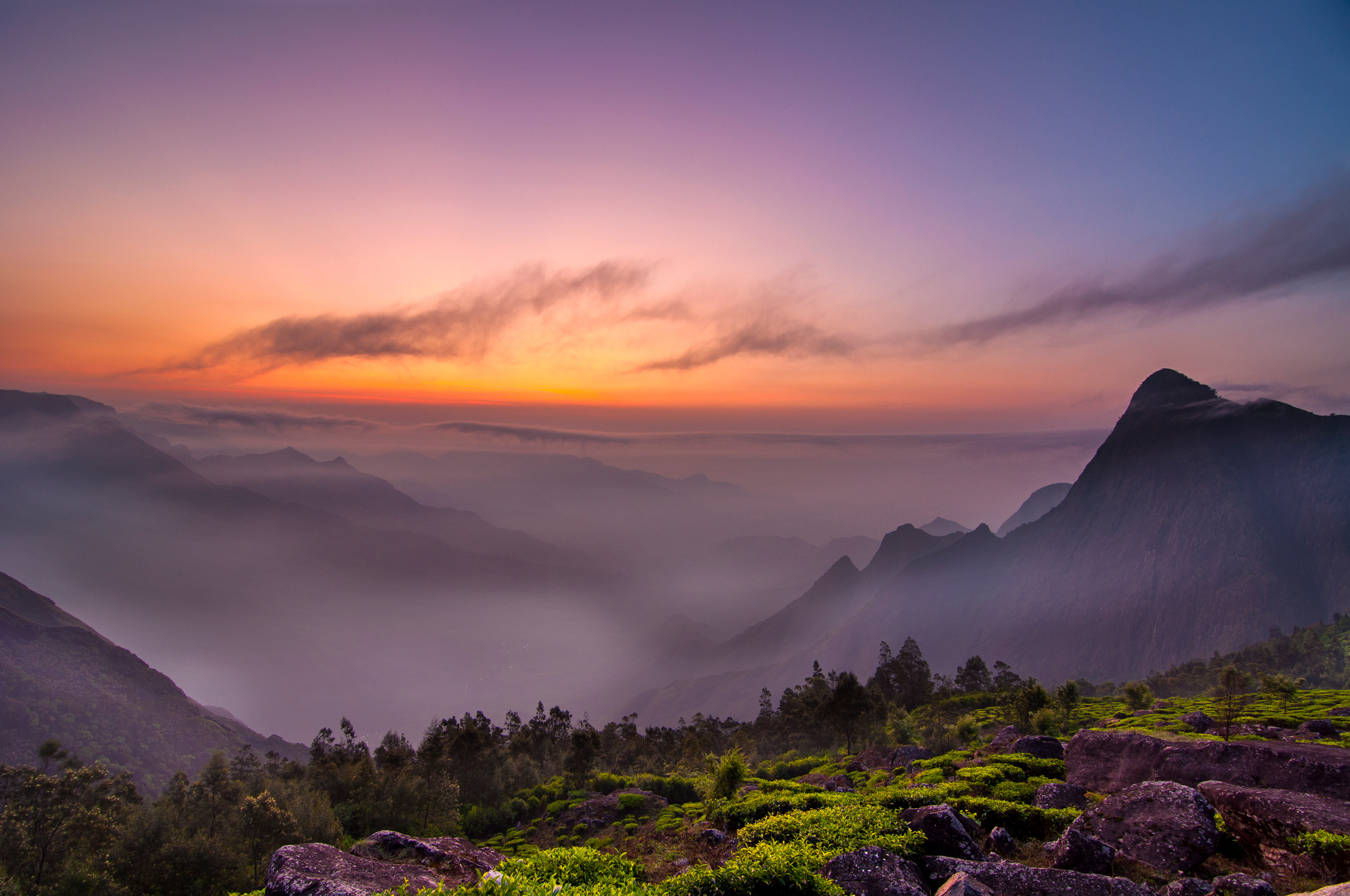 A breathtaking sunrise at Kolukkumalai, Munnar, where the sun paints the sky in gradients of violet and orange above a sea of mist