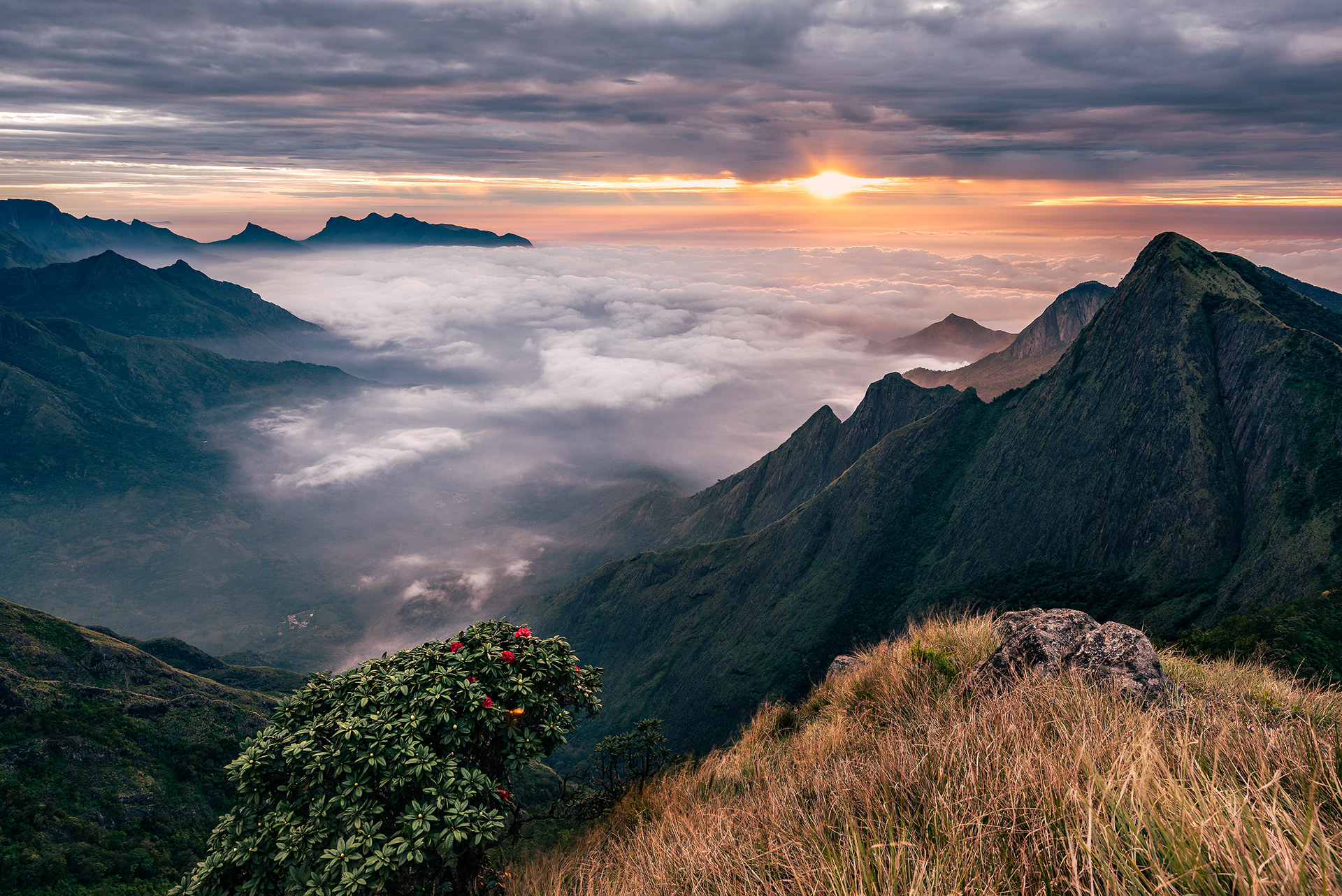 A surreal sunrise above the clouds at Kolukkumalai, Munnar, where jagged peaks rise like islands from a sea of mist